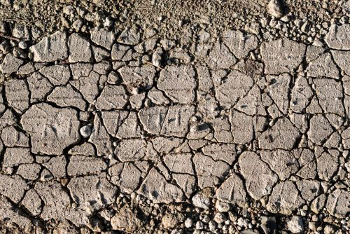 不使用測土儀?如何辨別土壤肥瘦? 不使用測土儀?如何辨別土壤肥瘦?